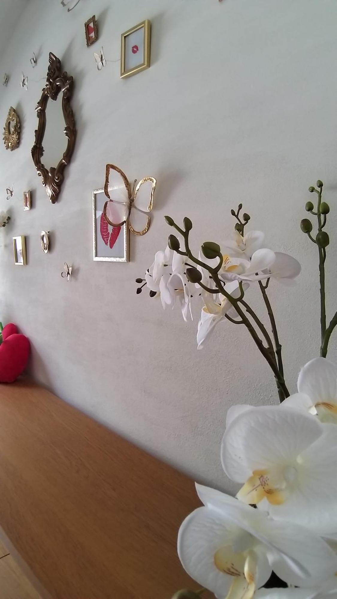 Wellness Loft With Sauna, Jacuzzi, Roof Terrace & Amazing View Leilighet Antwerpen Eksteriør bilde