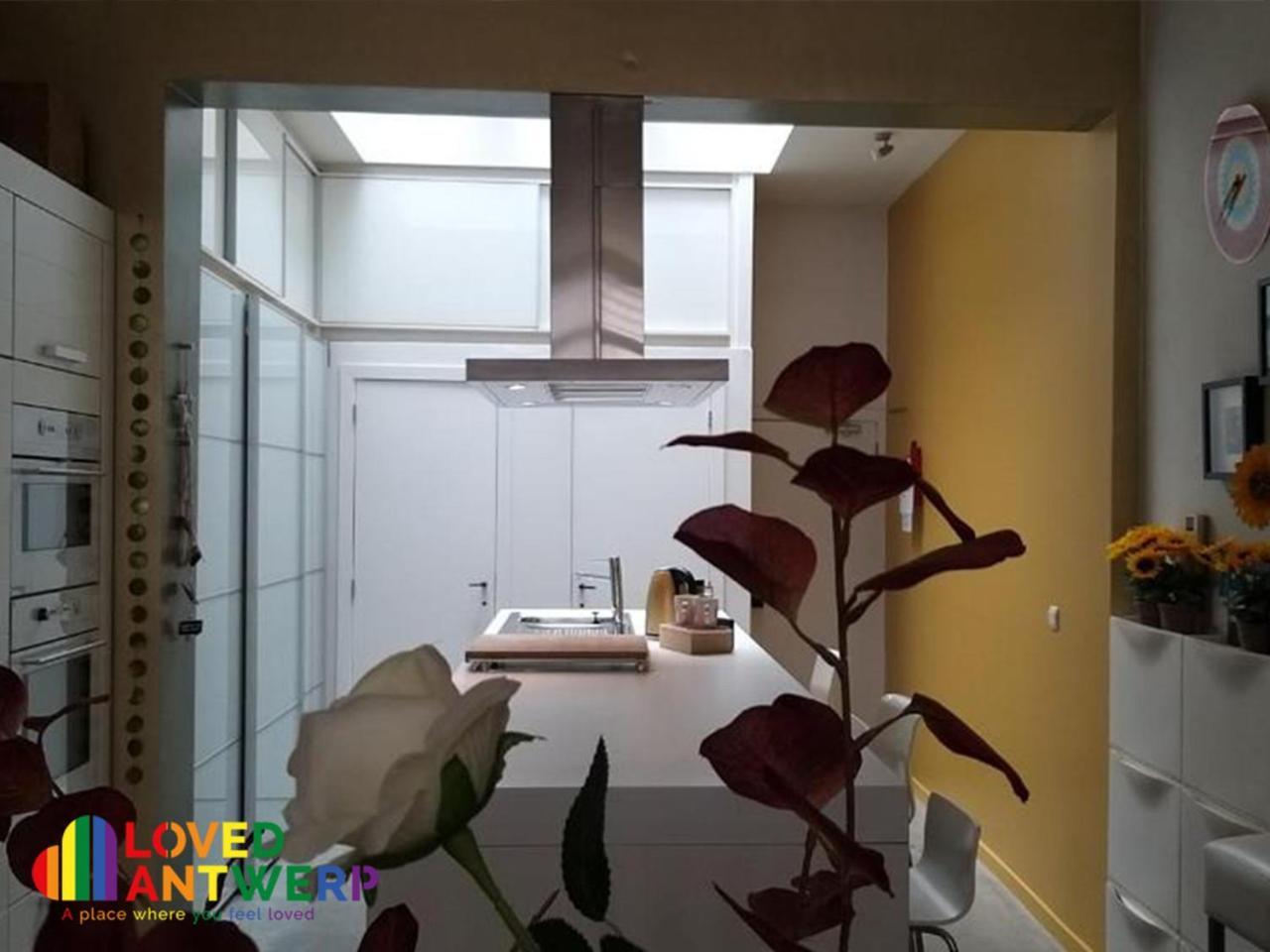 Wellness Loft With Sauna, Jacuzzi, Roof Terrace & Amazing View Leilighet Antwerpen Eksteriør bilde